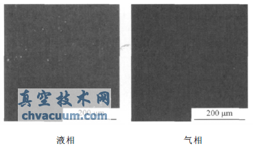 316L腐蚀试样表面SEM