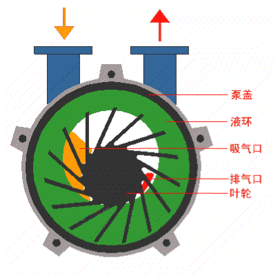 水环式真空泵/液环真空泵工作原理图