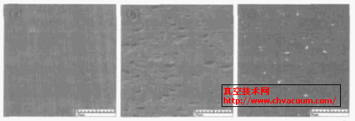 TiN薄膜磨痕处表面形貌的SEM照片