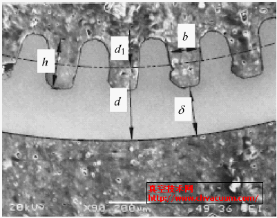 微热管沟槽截面SEM 图