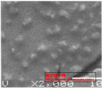 复合层扫描电镜照片×2000
