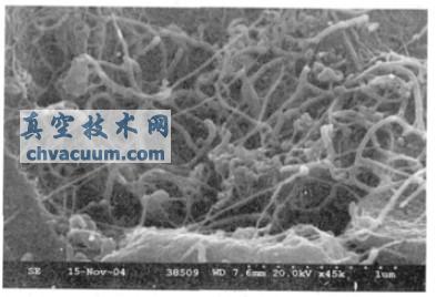 介孔材料的制备及其在碳纳米管合成中的应用研