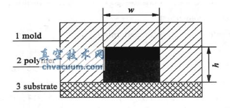 PDMS ΢׽ṹתӡʾͼ