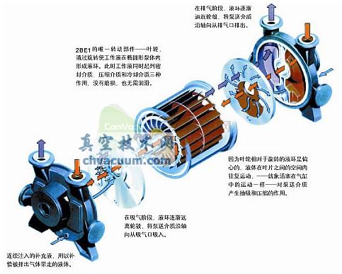 液环式真空泵的工作原理及常见型号
